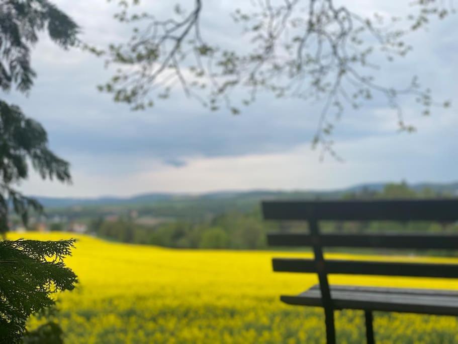 Familienfreundliches Landhaus "Karin" Mit Pool Struppen Esterno foto