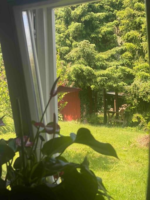 Familienfreundliches Landhaus "Karin" Mit Pool Struppen Esterno foto